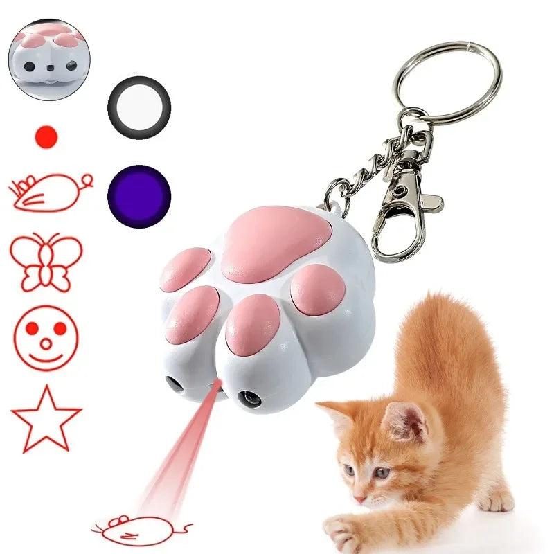 USB Rechargeable Pet Laser Toy