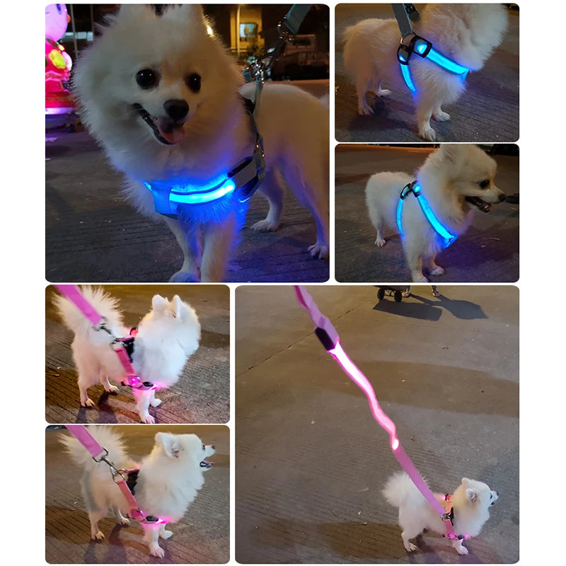 OHIPETS™ Adjustable LED No-Pull Dog Harness – Glowing Night Safety Vest for Small & Medium Dogs