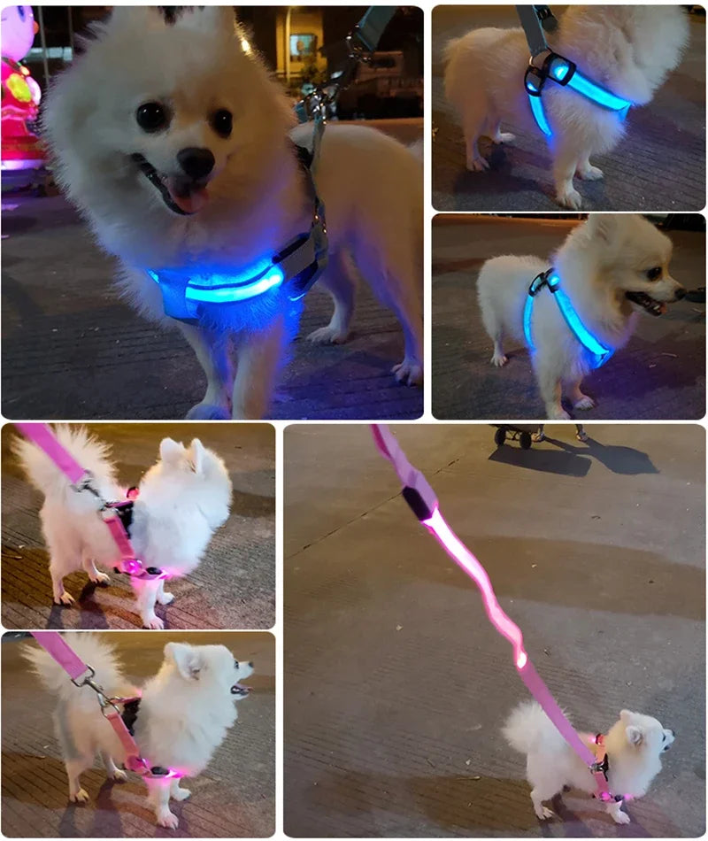 OHIPETS™ Adjustable LED No-Pull Dog Harness – Glowing Night Safety Vest for Small & Medium Dogs