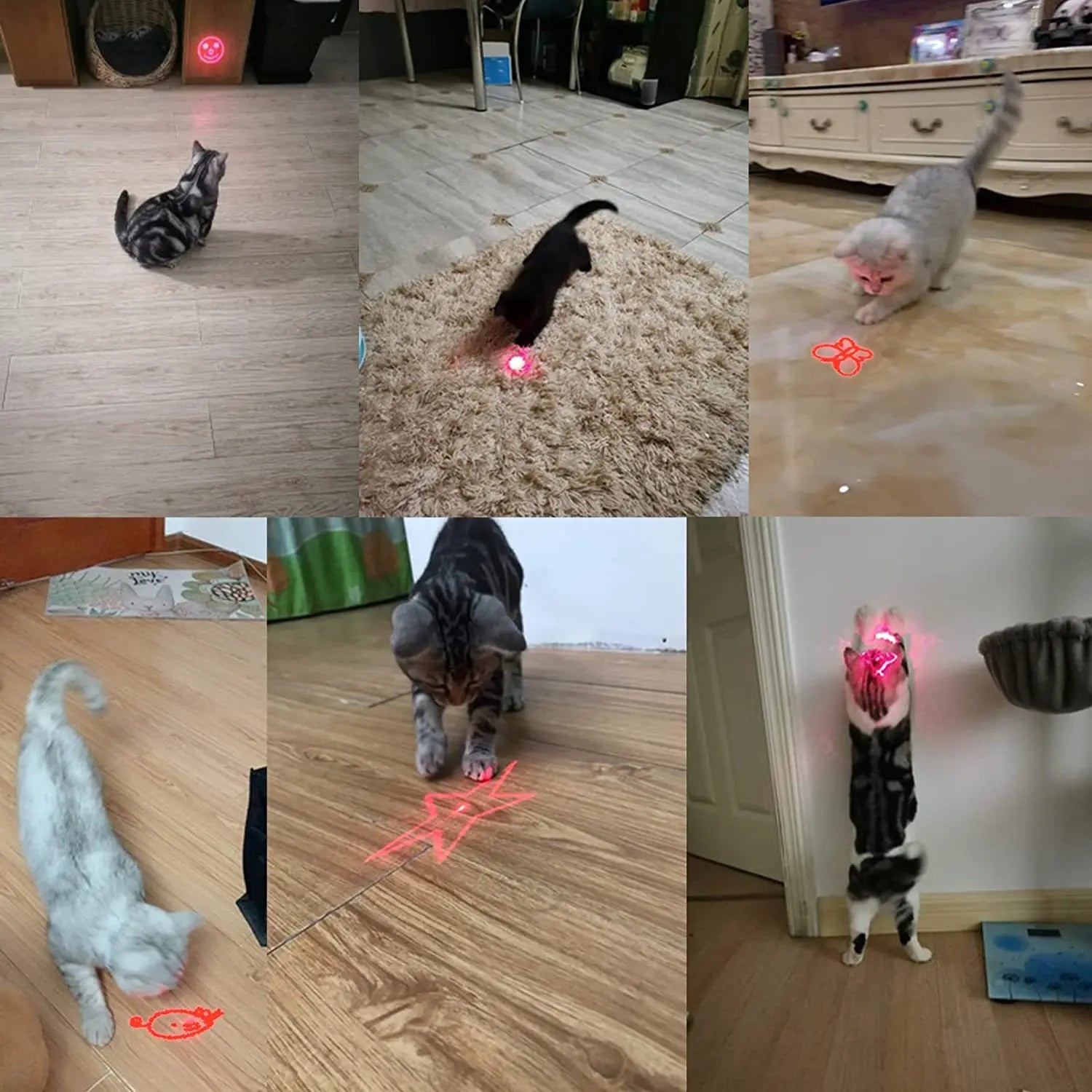 USB Rechargeable Pet Laser Toy