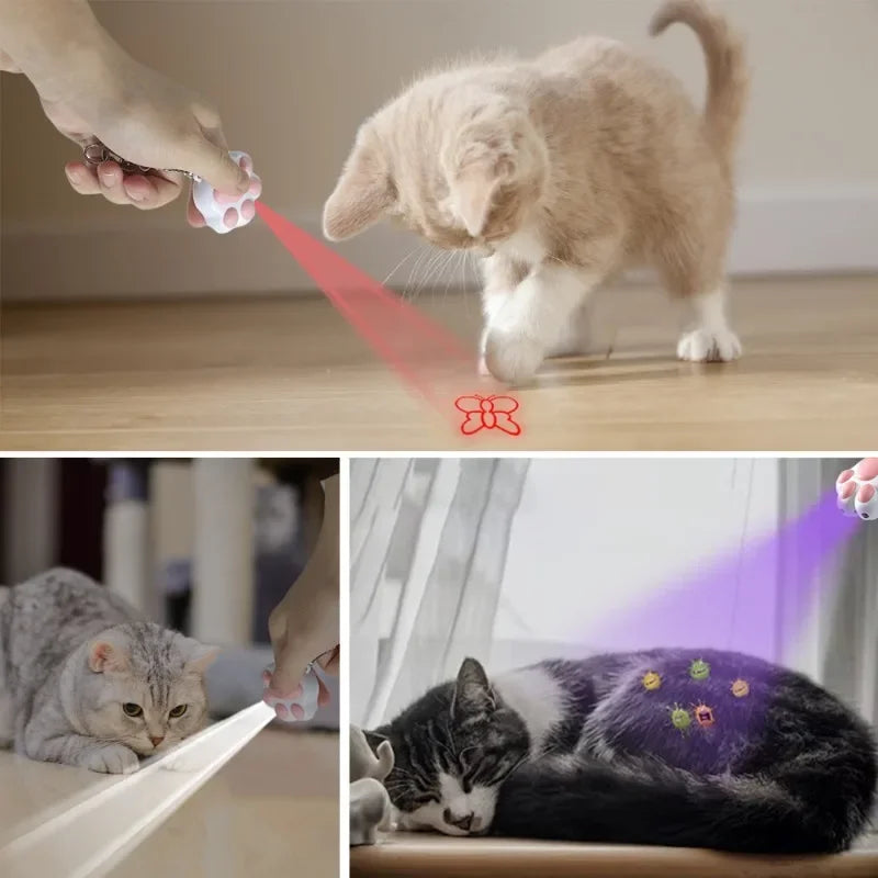 USB Rechargeable Pet Laser Toy
