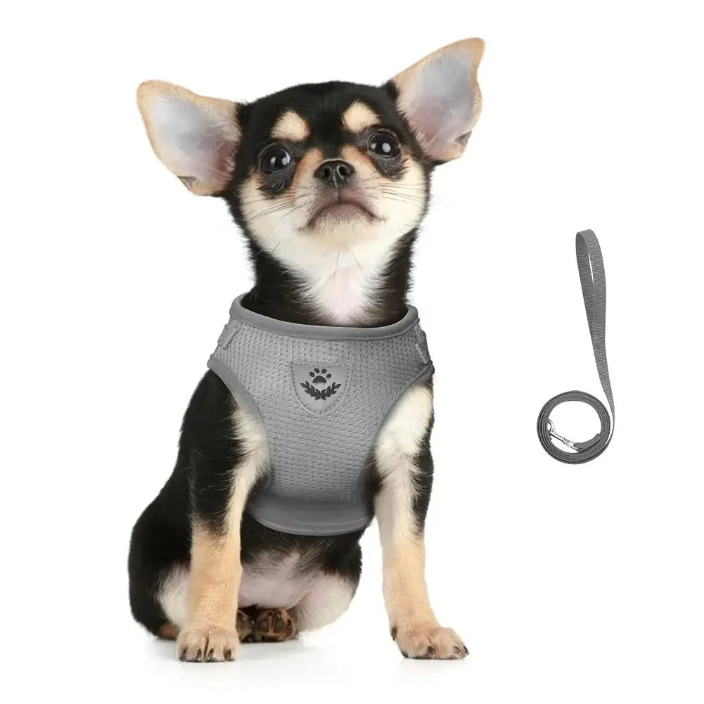 OHIPETS™ Adjustable Reflective Pet Harness & Leash Set