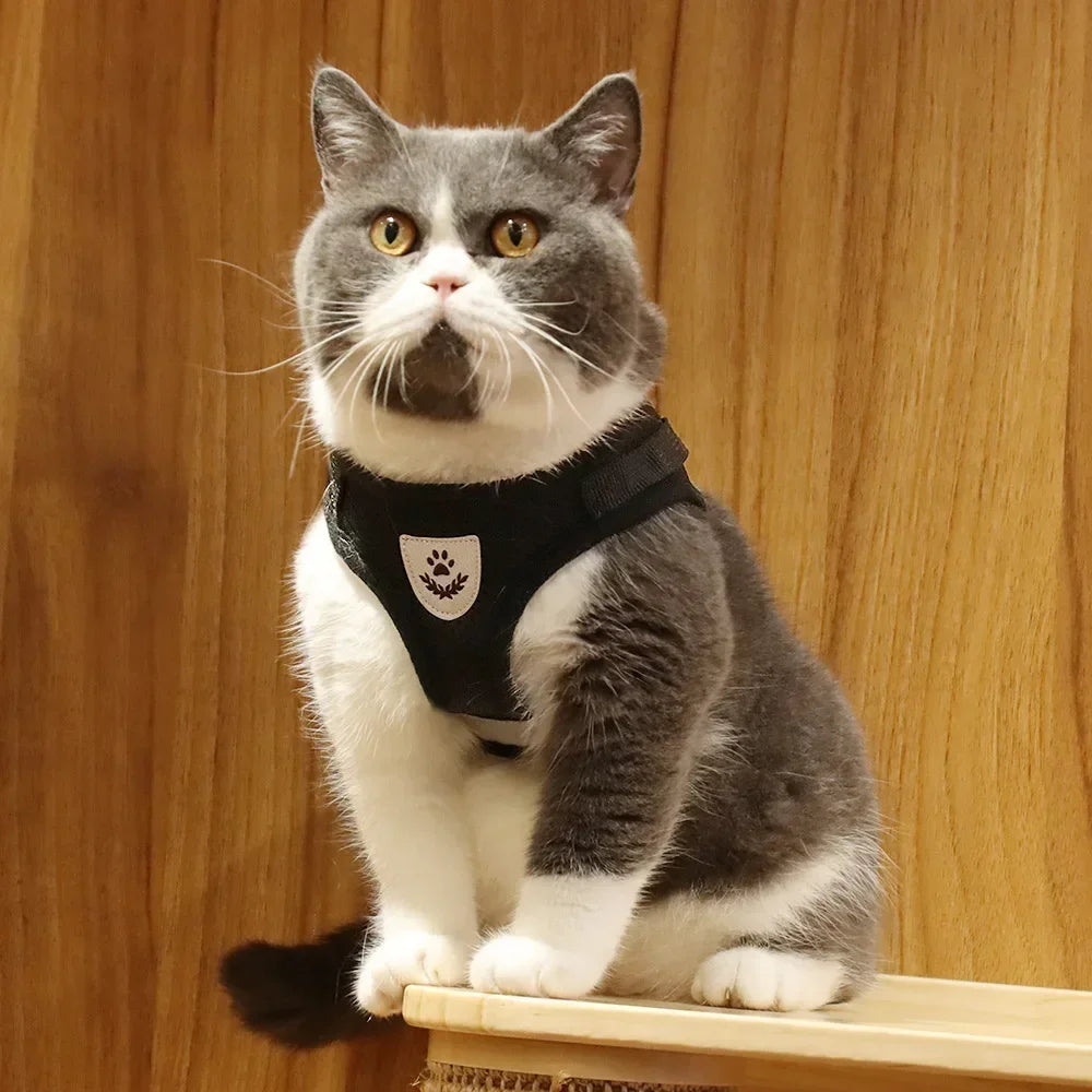 OHIPETS™ Verstellbares, reflektierendes Hundegeschirr &amp; Leinen-Set 