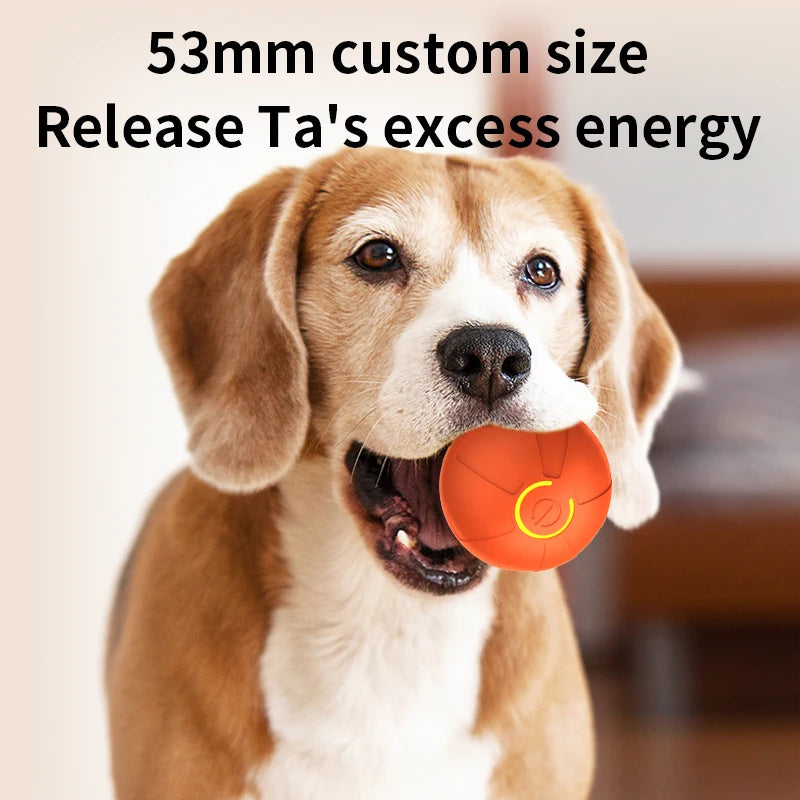 OHIPETS™ Smart Interactive Dog Toy Ball – Automatic Rolling & Bouncing, USB Rechargeable